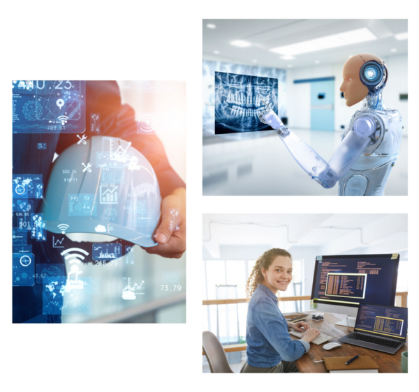 AI Professional Services - DATADICE